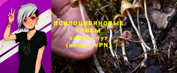Альфа ПВП Красноперекопск