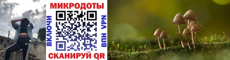 Псилоцибиновые грибы прущие грибы  Купить закладки  Ахтубинск 